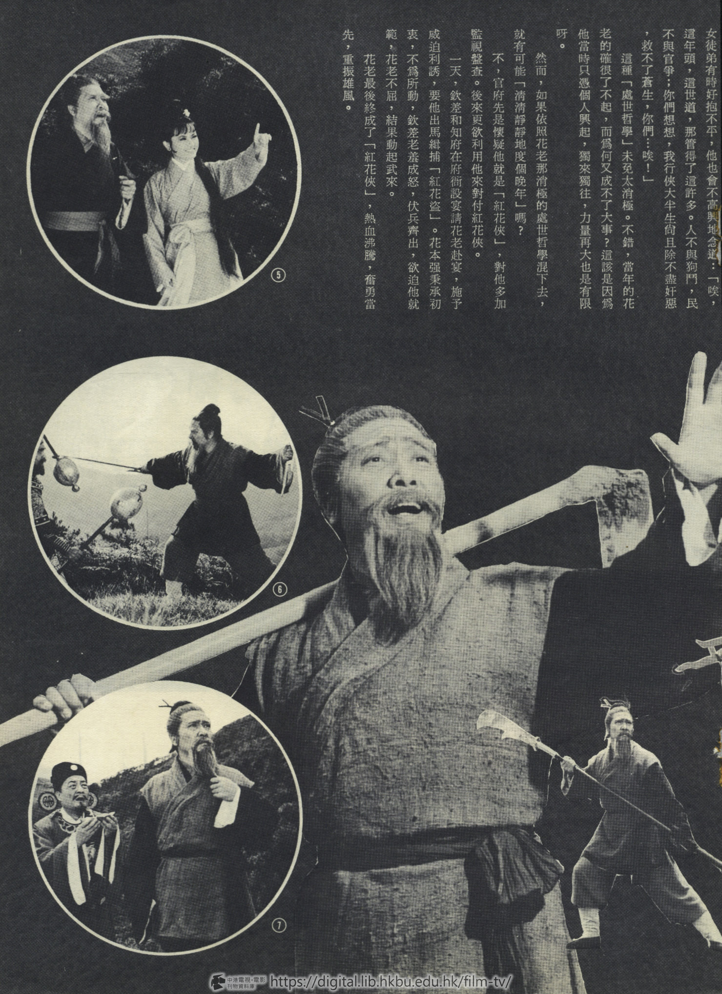 捲動滑鼠可以縮放圖片 - 映山紅 - 頁10