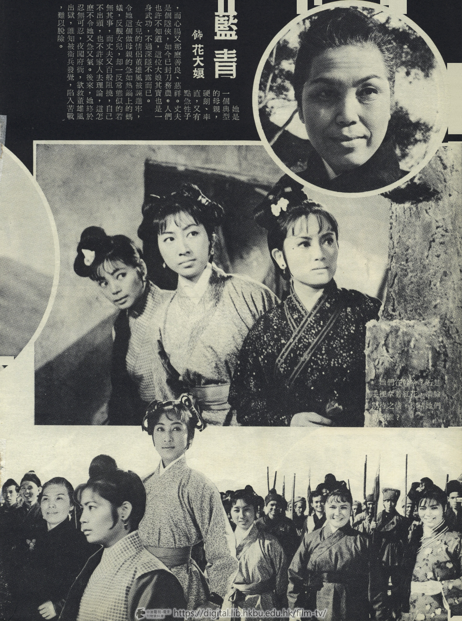 捲動滑鼠可以縮放圖片 - 映山紅 - 頁11