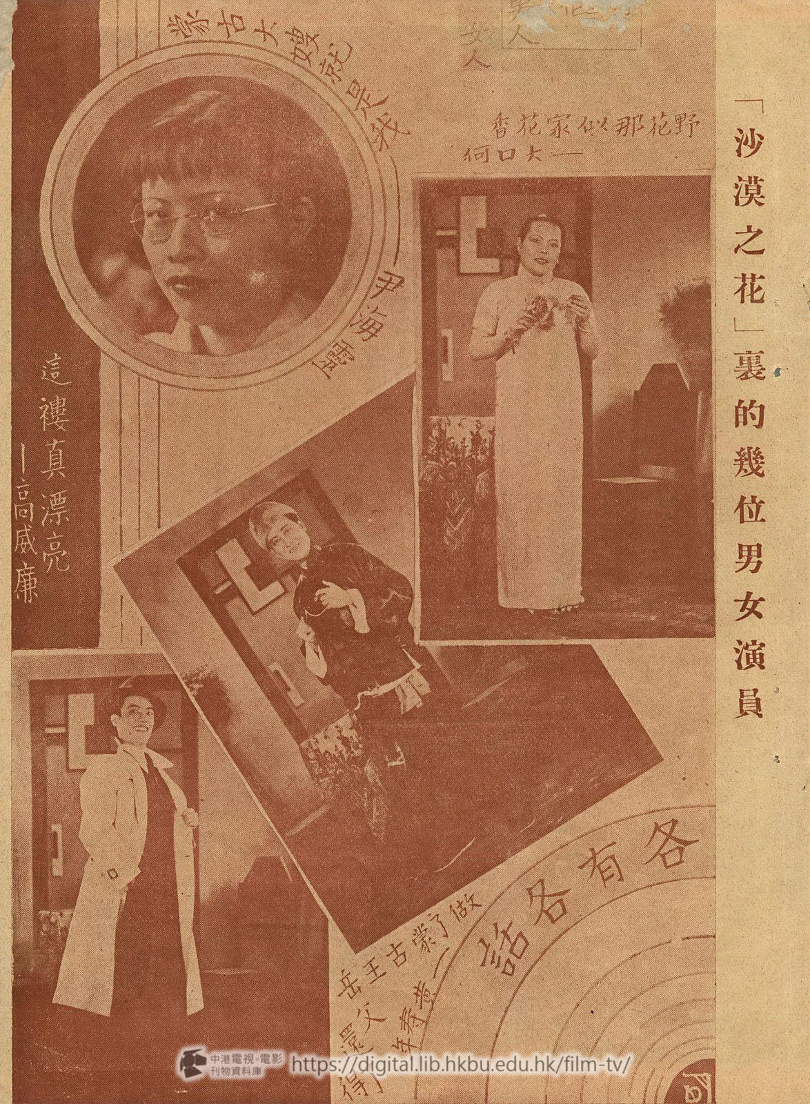 捲動滑鼠可以縮放圖片 - 沙漠之花南星特刊 - 頁碼未能確定