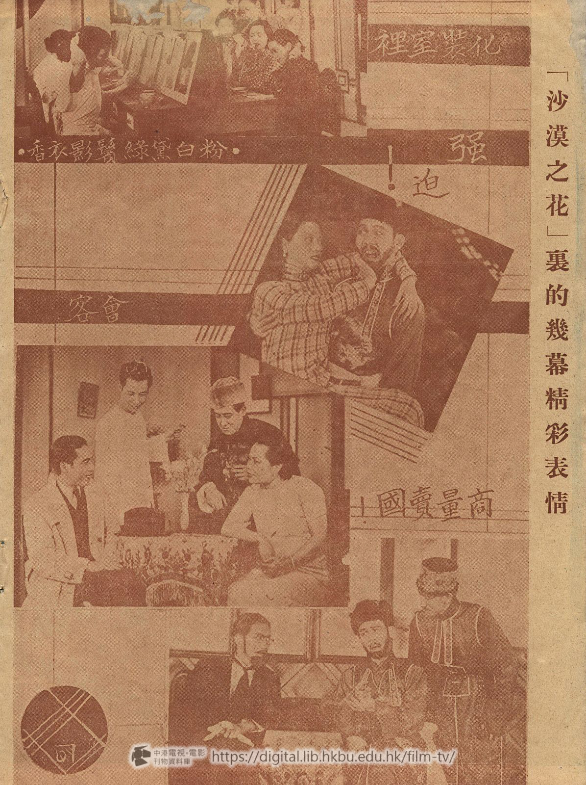 捲動滑鼠可以縮放圖片 - 沙漠之花南星特刊 - 頁碼未能確定