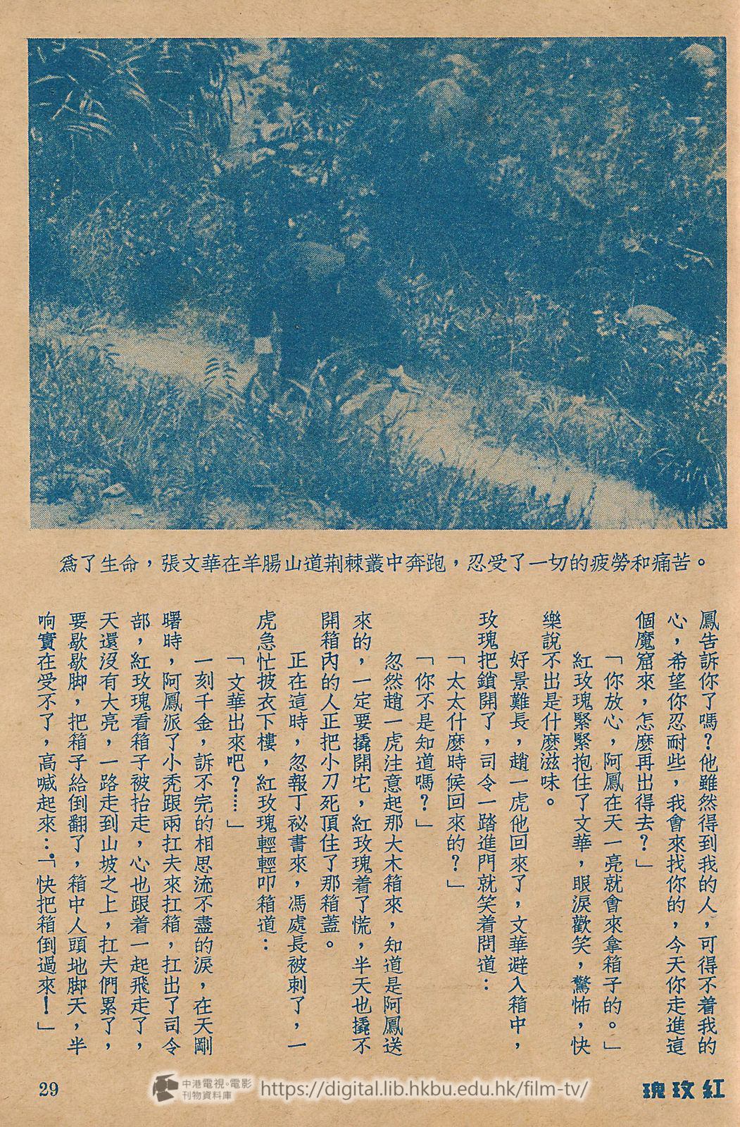捲動滑鼠可以縮放圖片 - 紅玫瑰 - 頁29