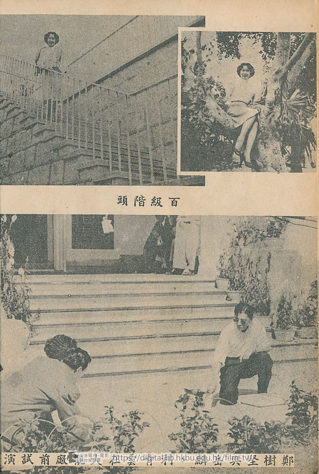 捲動滑鼠可以縮放圖片 - 愛樂流浪記 - 頁8