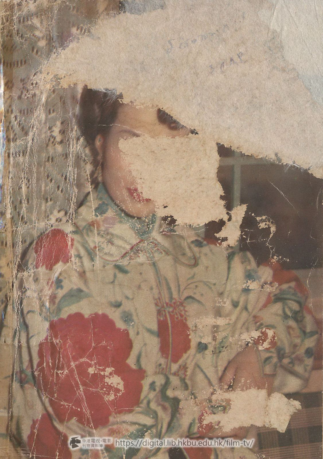 捲動滑鼠可以縮放圖片 - 枇杷巷 - 封底