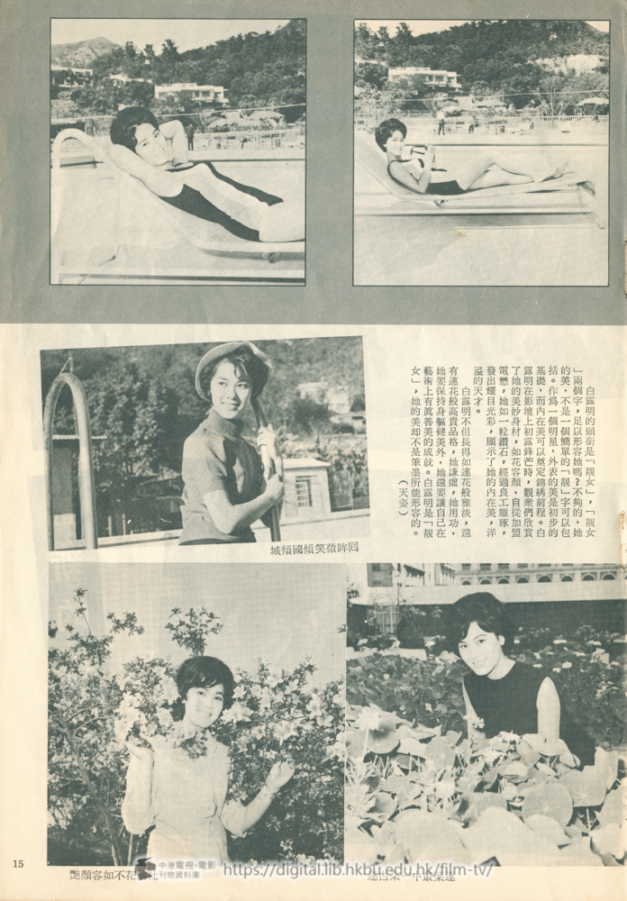 捲動滑鼠可以縮放圖片 - 南北喜相逢 - 頁15