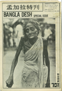  Special Issue Cover Page  