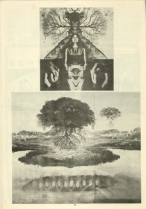 22 現代攝影藝術介紹之三  謝利•尤斯曼的影像世界 亞貝巴 