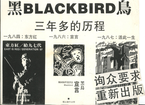Blackbird Poster of Blackbird: a jounery over three years  