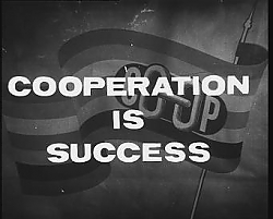 Cooperation is Success