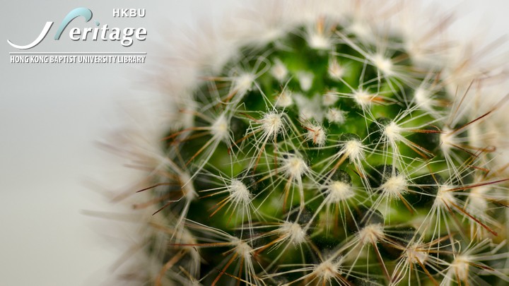 HKBU Heritage : Things about Cacti