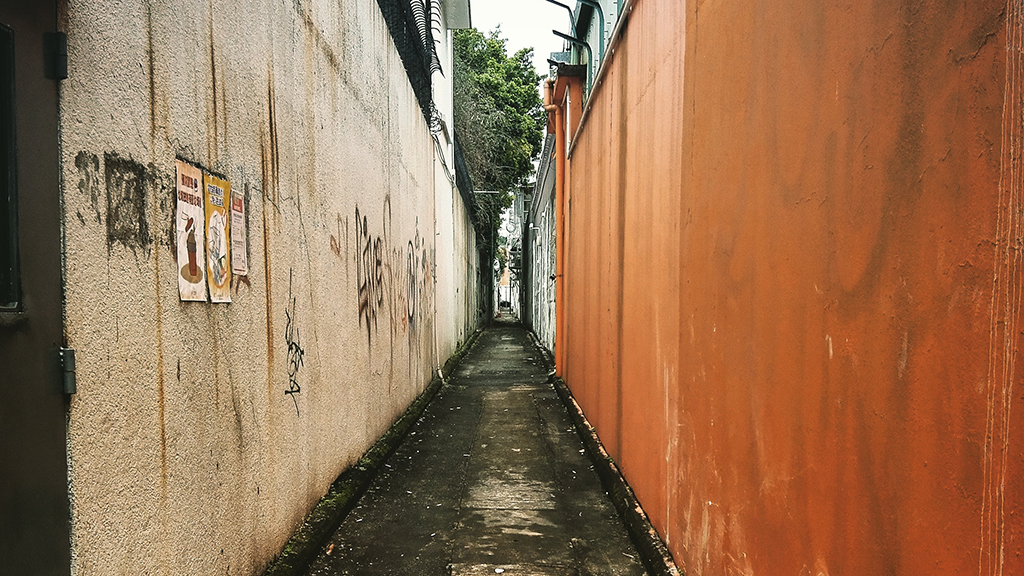 The Alleyway and the Beyond
